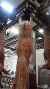 Carne bovina apresenta crescimento de 6,76% nas exportações no primeiro bimestre, segundo ABIEC