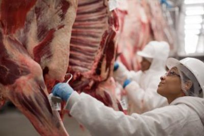 Expectativa para exportação de carne bovina em 2022 é positiva, diz analista